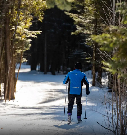 Skiing & Snowshoeing